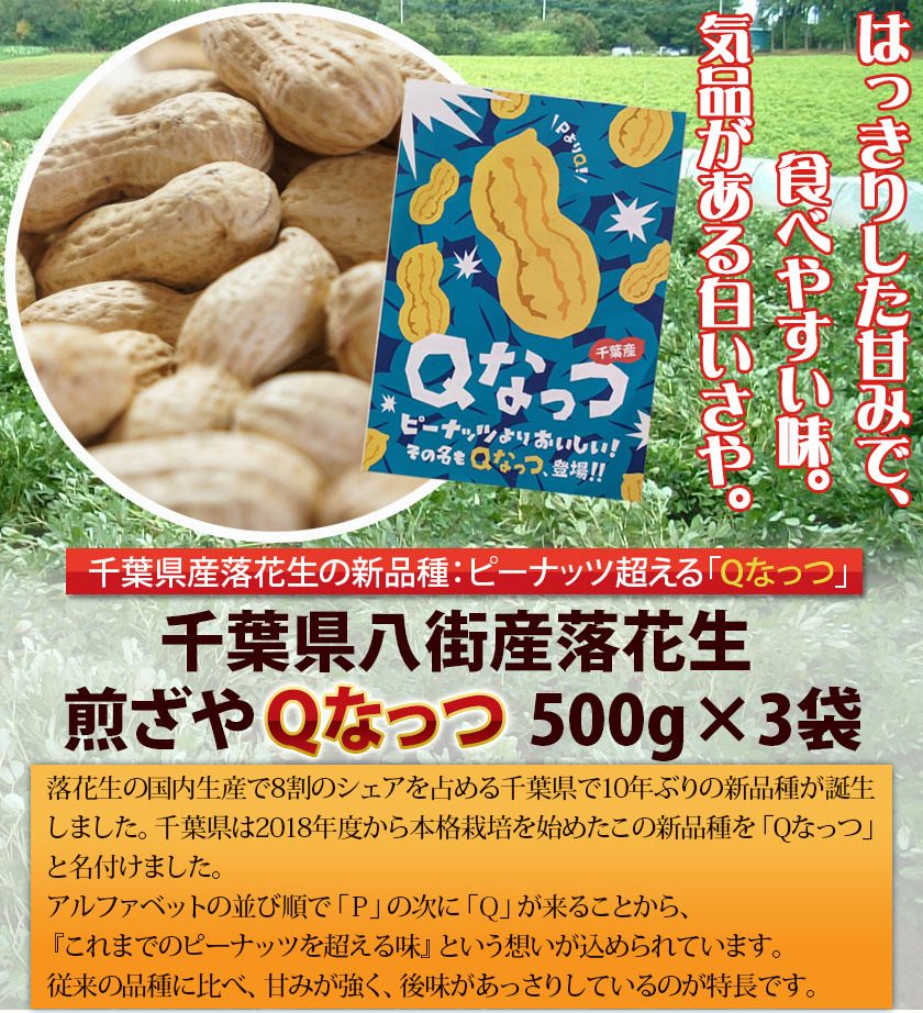 2022年度産 新豆 千葉県産落花生 煎ざや Ｑなっつ 1.5kg(500g×3袋) 送料込 :qnuts-irizaya-1500g:遠藤ピーナツ  - 通販 - Yahoo!ショッピング