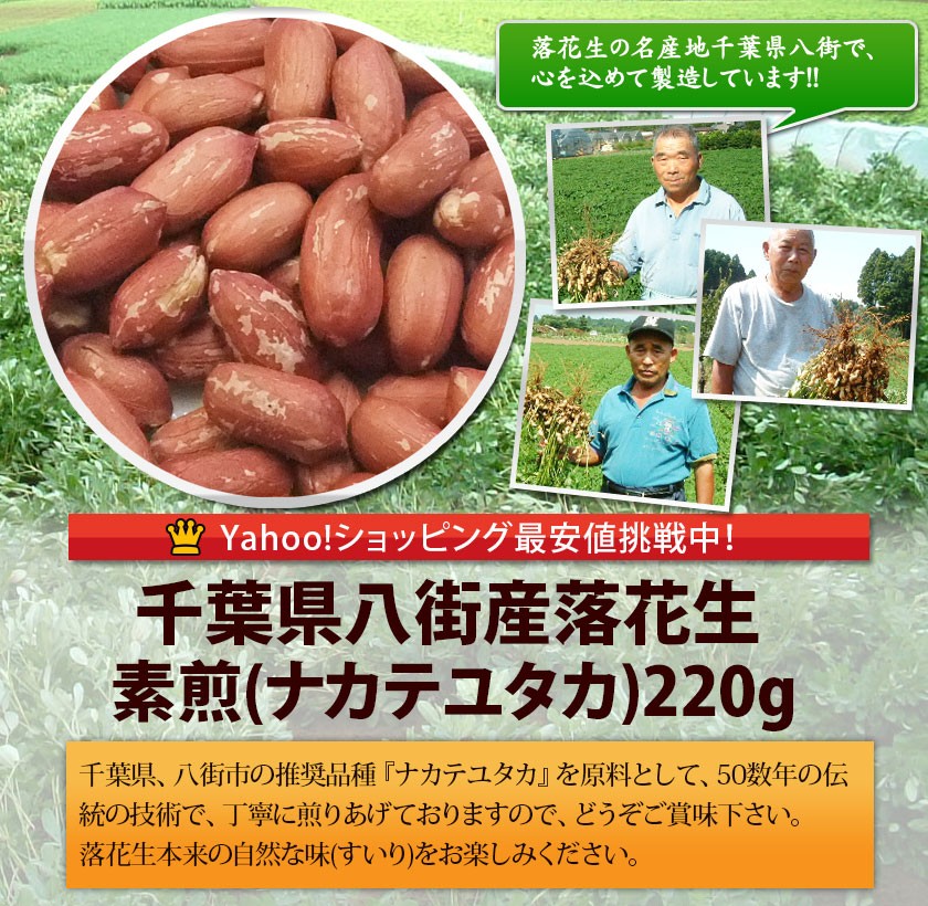 素煎落花生ナカテユタカ220g