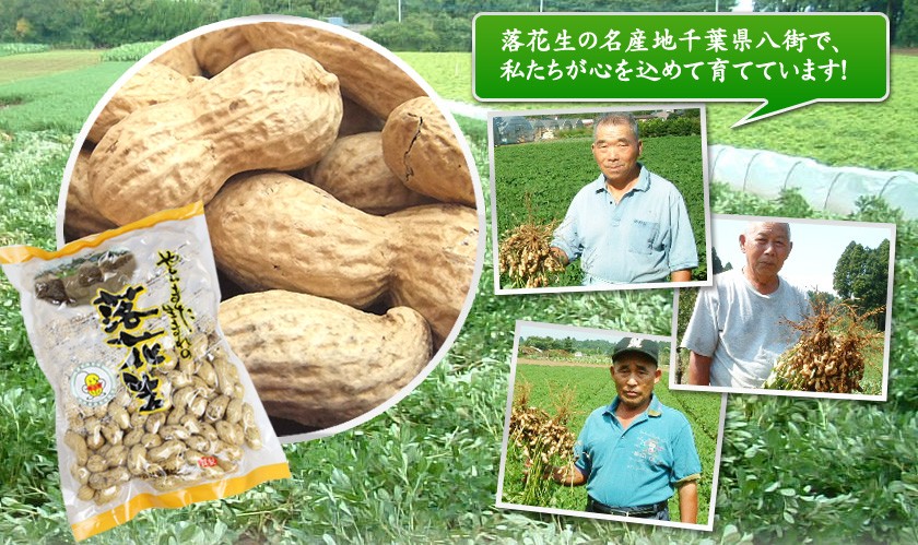 千葉県八街産落花生煎ざやナカテユタカ