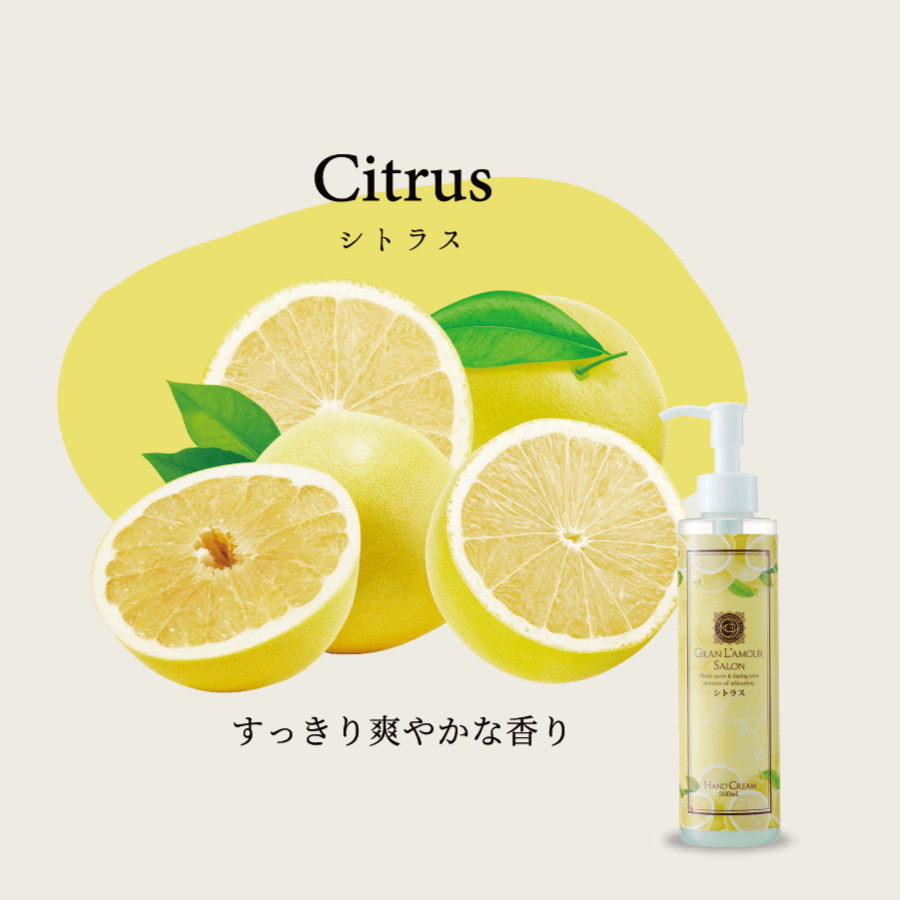 ハンドクリーム プレゼント ギフト 手荒れ ポンプ ハンドケア 日本製 高級 200ml 選べる 5つの 香り うるおい 化粧品 グランラ・モーレ サロン |  | 01