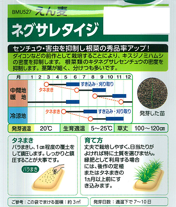 有効期限26年10月 アウェナストリゴサ（エンバク野生種） ネグサレタイジ タネ |  | 01