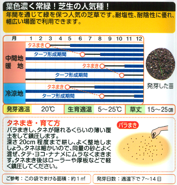 芝の種(少量パッケージ) 西洋芝ケンタッキーブ...の詳細画像1
