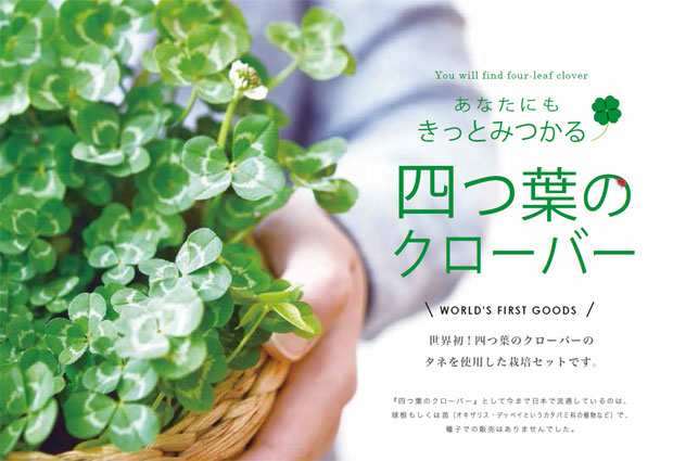 ギフトに 四つ葉のクローバー栽培セット : 園芸ネット - 通販 - Yahoo 