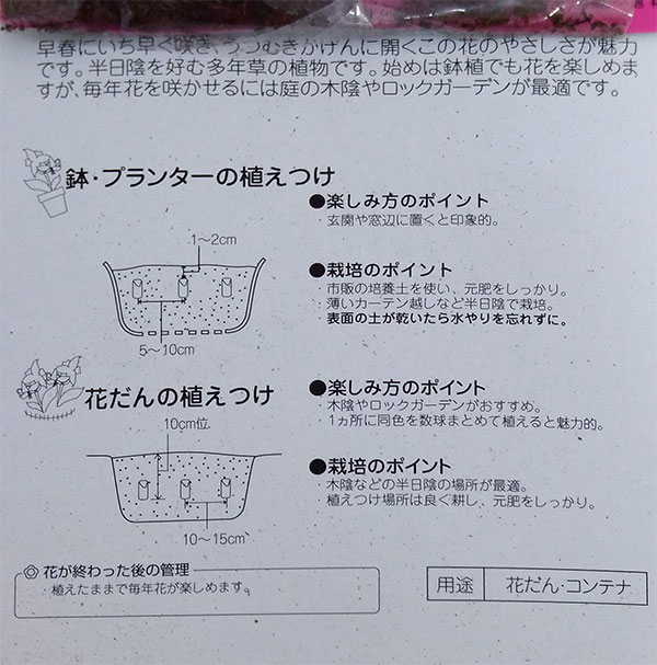 球根 26年9月中下旬予約 カタクリ 日本カタ...の詳細画像3
