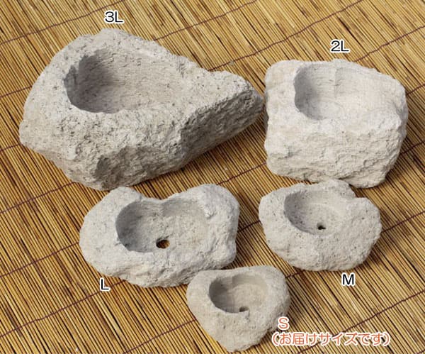ウミノモリ軽石鉢 山野草鉢 さつま軽石鉢 Sサイズ（2号〜2.5号苗用） : 園芸ネット