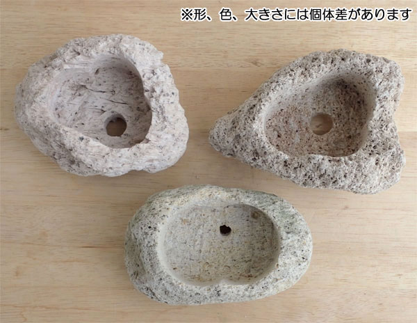 山野草鉢 さつま軽石鉢 Mサイズ（2.5号〜3号苗用） : 園芸ネット