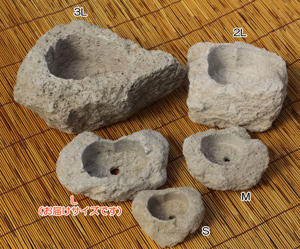 山野草鉢 さつま軽石鉢 Lサイズ（3号〜3.5号苗用） : 園芸ネット