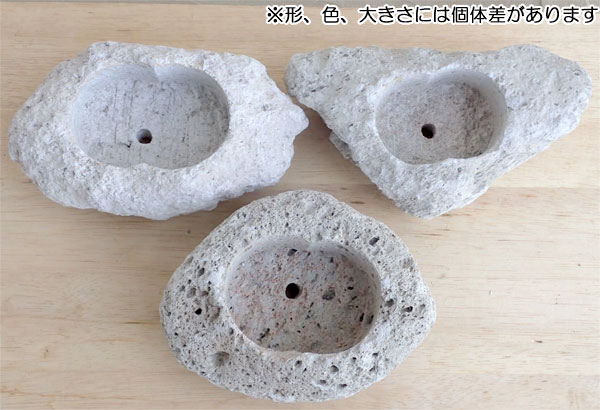 山野草鉢 さつま軽石鉢 Lサイズ（3号〜3.5号苗用） : 園芸ネット