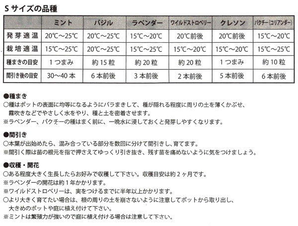 アーリーサマーセール エコット（S）：ミント栽培セット |  | 03