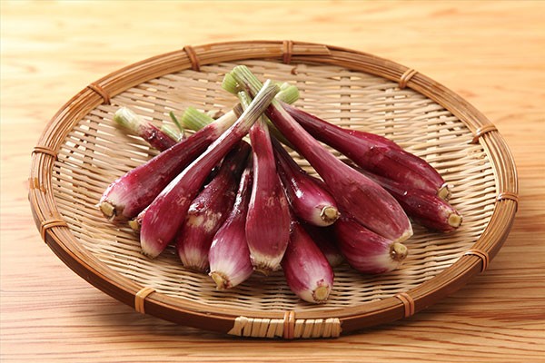 野菜の苗 26年8月下旬予約 ハイブリッドラッ...の詳細画像4