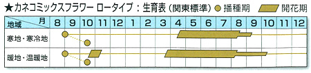 カネコミックスフラワーロータイプ450g タネ 春・秋まき草丈20〜40cmの