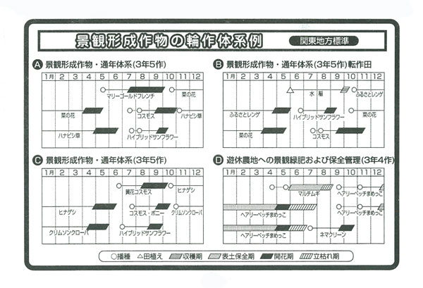 カネコミックスフラワーロータイプ450g タネ 春・秋まき草丈20〜40cmの