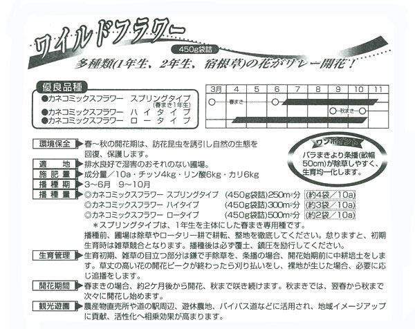 カネコミックスフラワーロータイプ450g タネ 春・秋まき草丈20〜40cmの