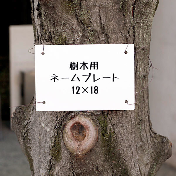専用出品★大きな天然木の お名前プレート　４個セット 木の名札プレート（名札、番号札）｜文具、ステーショナリー
