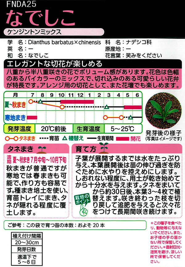 ナデシコ（撫子）：ケンジントンミックスの種 タキイ 花タネ