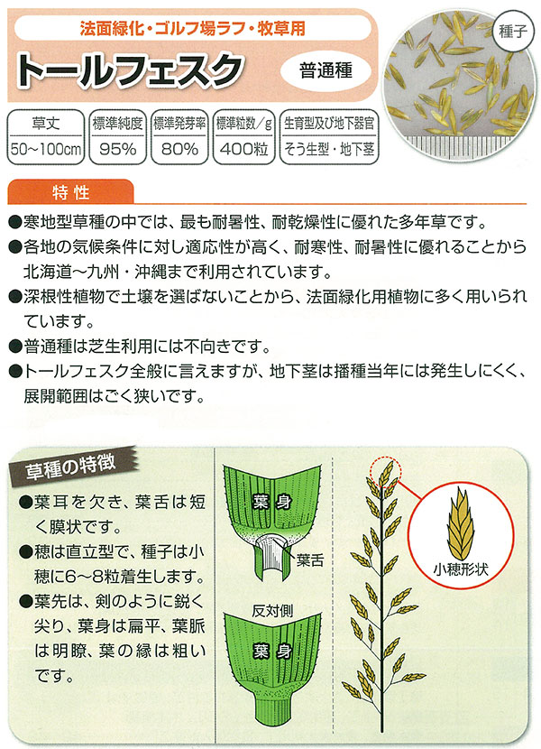 芝の種 トールフェスク普通種 原袋22.5kg入りの詳細画像1