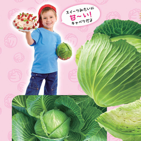 野菜の苗 26年8月下旬予約 極甘 スイーツキ...の詳細画像2
