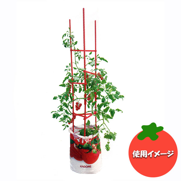 そのまま育てる野菜の土 15リットル入と トマトの支柱（ジョイントサポート支柱）のセット｜engei｜06
