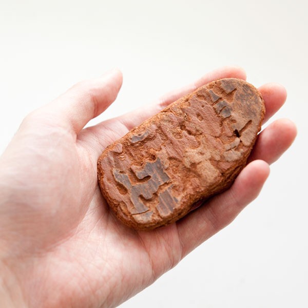 インテリアバークL粒（約6〜8cm）50リットル入り（マルチング・装飾用） 送料無料_2