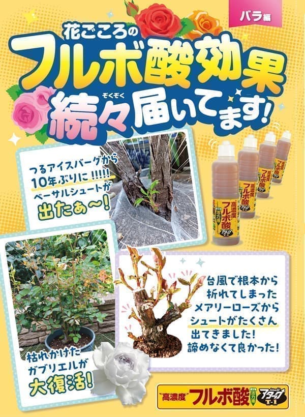 高濃度フルボ酸活力液アタックT-1・200ml...の詳細画像3