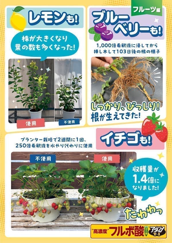 高濃度フルボ酸活力液アタックT-1・200ml...の詳細画像4