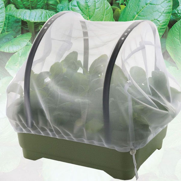 栽培セット（緑のやさいプランター40型・虫よけネット付き）：リーフレタスミックスの種付き｜engei｜11
