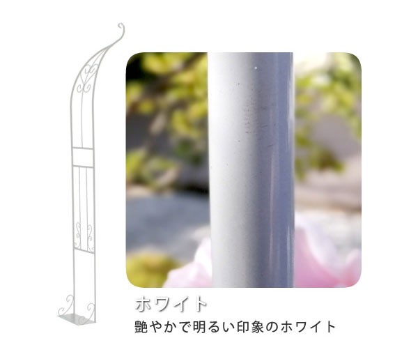 アイアンハーフアーチ（シングル）／ホワイト（幅55cm、高さ211.5cm）（IA-HF003WHT） 送料無料｜engei｜03