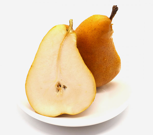 果樹の苗 セイヨウナシ(西洋梨) オーロラ4号ポットの詳細画像5