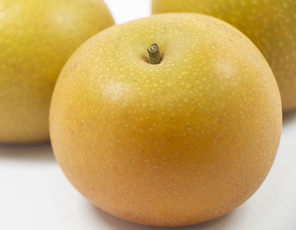 果樹の苗 ナシ(梨) あきづき4〜5号ポットの詳細画像2