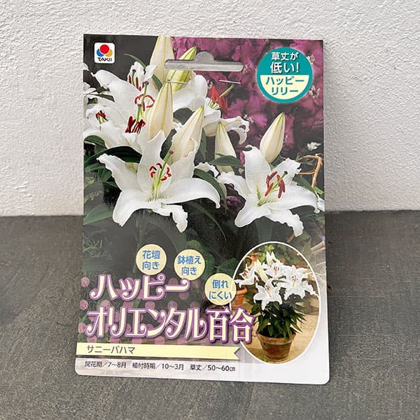 球根 26年10月中下旬予約 ユリ(オリエンタ...の詳細画像1