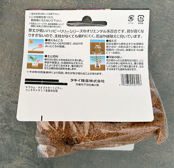球根 26年10月中下旬予約 ユリ(オリエンタ...の詳細画像2