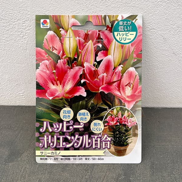 球根 26年10月中下旬予約 ユリ(オリエンタ...の詳細画像2
