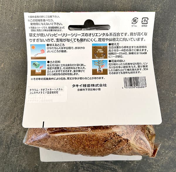 球根 26年10月中下旬予約 ユリ(オリエンタ...の詳細画像1