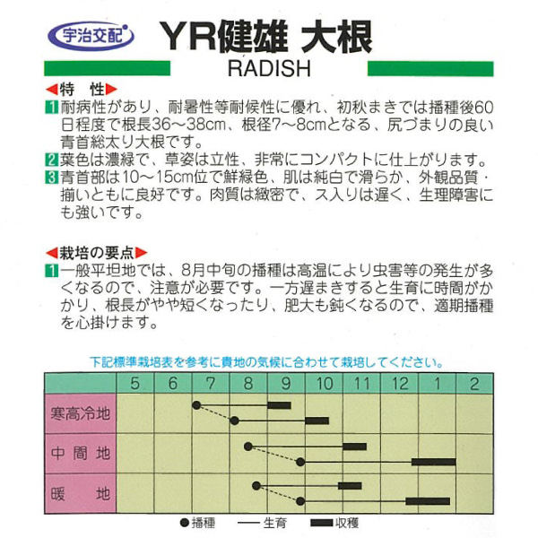 有効期限26年10月 大根 YR健雄（けんゆう） ダイコンのタネ |  | 01