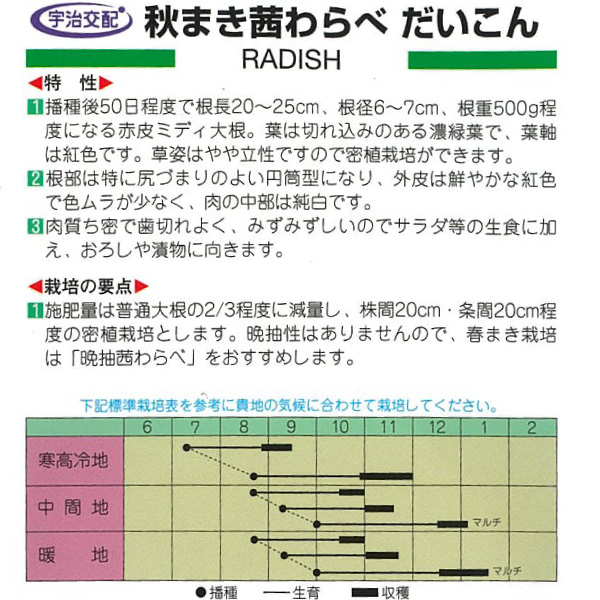 ダイコン（ミディ大根） 秋まき茜わらべ |  | 01