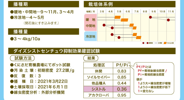 クリムソンクローバ シストル の種500g タネ 秋まき・春まき |  | 02