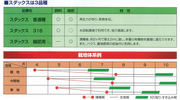 ソルゴー スダックス緑肥用1kg タネ |  | 02