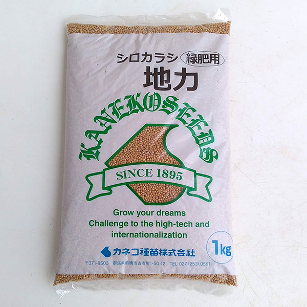 景観緑肥用シロカラシ地力 1kg タネ｜engei｜02