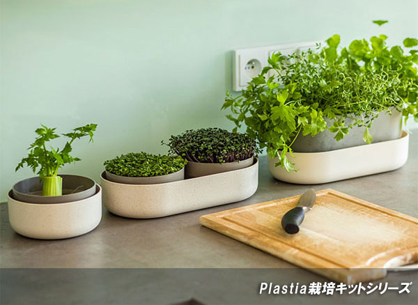 栽培キット スプラウトと葉野菜栽培・マイクログリーンズ・リグロウ・アイボリー |  | 05