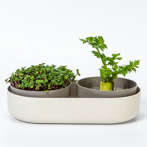 栽培キット スプラウトと葉野菜栽培・マイクログリーンズ・リグロウ・アイボリー |  | 02