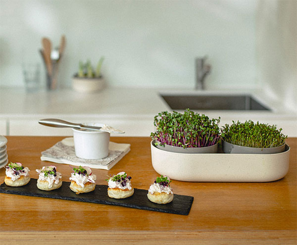 栽培キット スプラウトと葉野菜栽培・マイクログリーンズ・リグロウ・アイボリー |  | 04