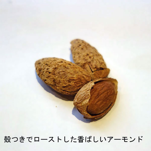 果樹の苗 アーモンド4〜5号ポット |  | 07