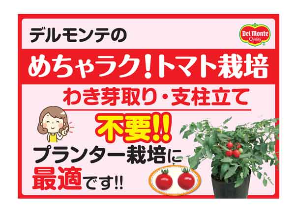 野菜の苗/トマト（ミニ）：めちゃラク！(R)トマト3号ポット｜engei｜04