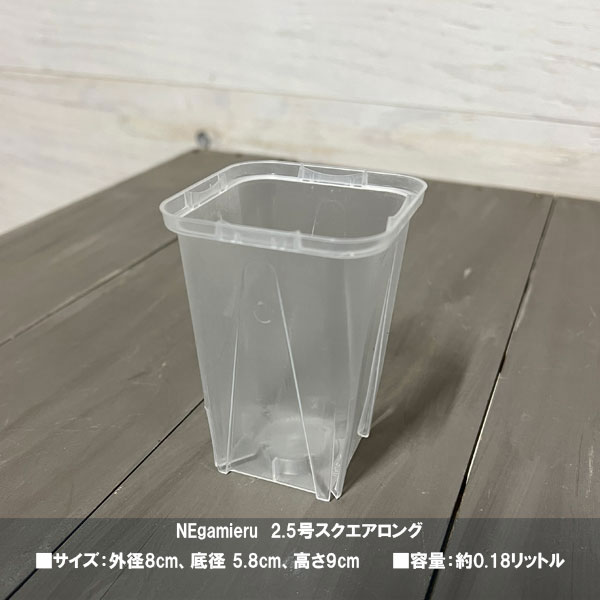 スリット鉢(透明) ネガミエル2.5号スクエア...の詳細画像2