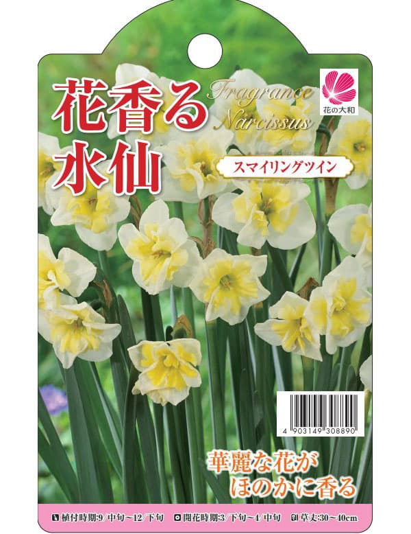 球根 26年9月中下旬予約 水仙 スマイリング...の詳細画像2
