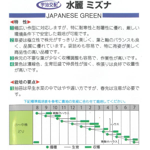 有効期限26年05月 ミズナ(水菜)種 水麗(...の詳細画像1