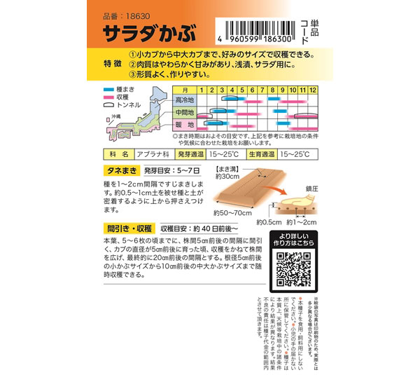 カブ種 サラダかぶ（スワン） 野菜タネ 秋まき（春まきも可能） |  | 01