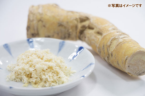 野菜の苗 ワサビダイコン（ホースラディッシュ）3号ポット2株セット |  | 06