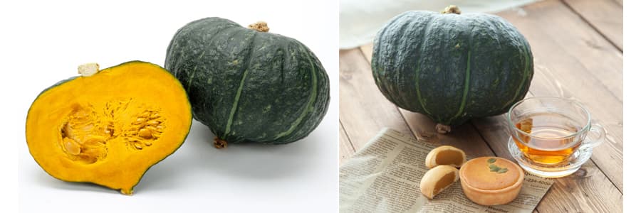 (業務用・受注生産品)カボチャ 九重栗 1000粒 野菜タネ *（R） 送料無料_1