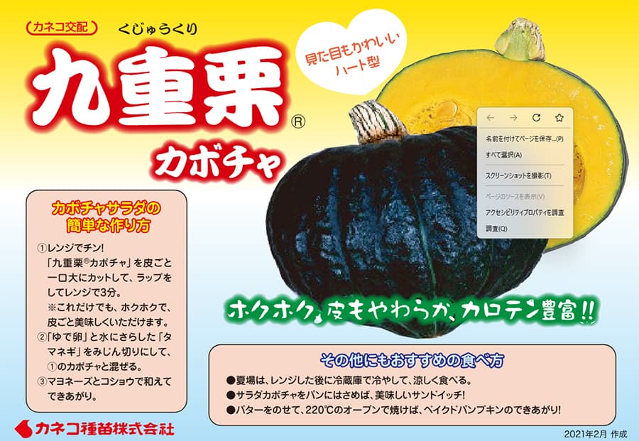 (業務用・受注生産品)カボチャ 九重栗 1000粒 野菜タネ *（R） 送料無料_4